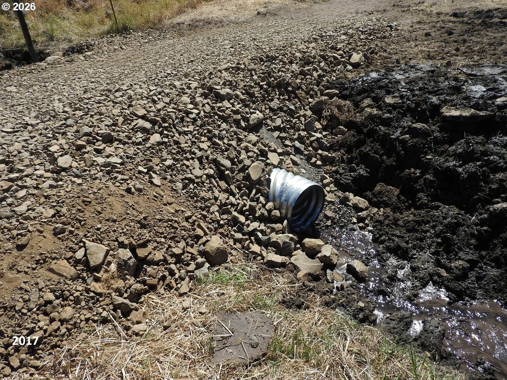 Picture 46