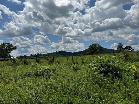 Hayesville Vacant Lot Near Lake