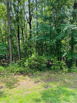 LAND - Heber Springs, AR