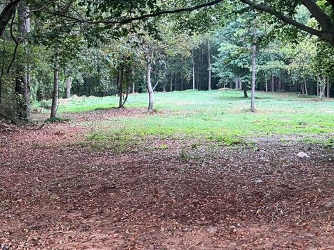 Decatur Commercial Lot For Sale