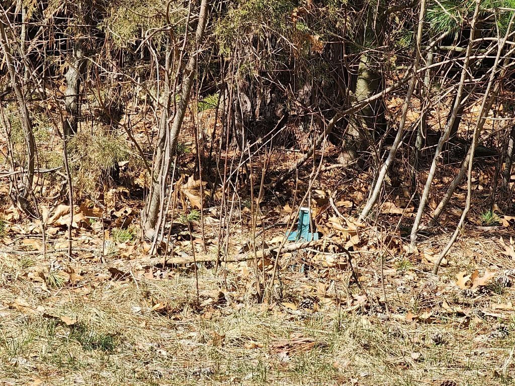 Picture 20