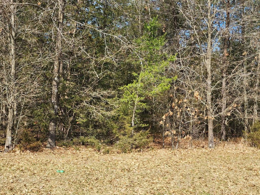 Picture 11