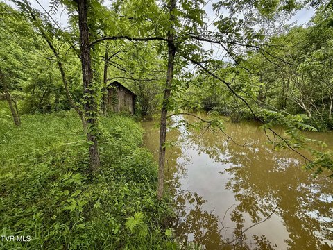 Expansive Acreage in Rogersville, TN