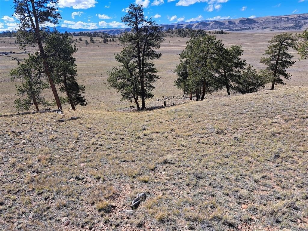 Picture 18