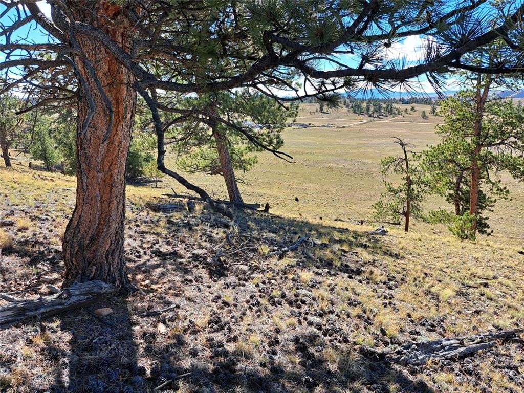 Picture 7