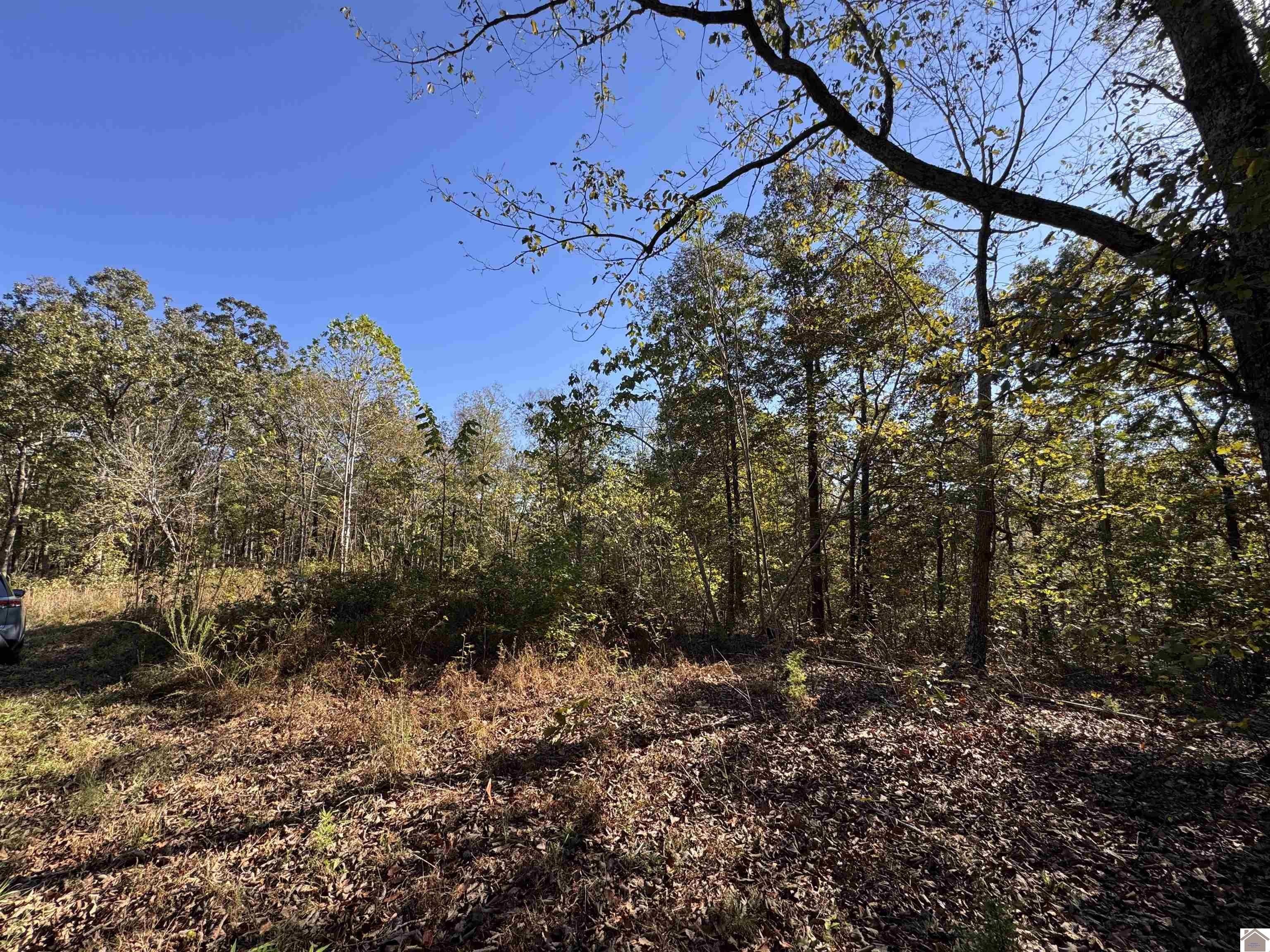 New Concord Land Near Kentucky Lake