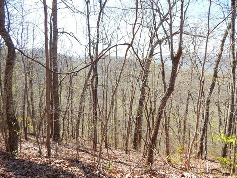 Hayesville Vacant Lot For Sale