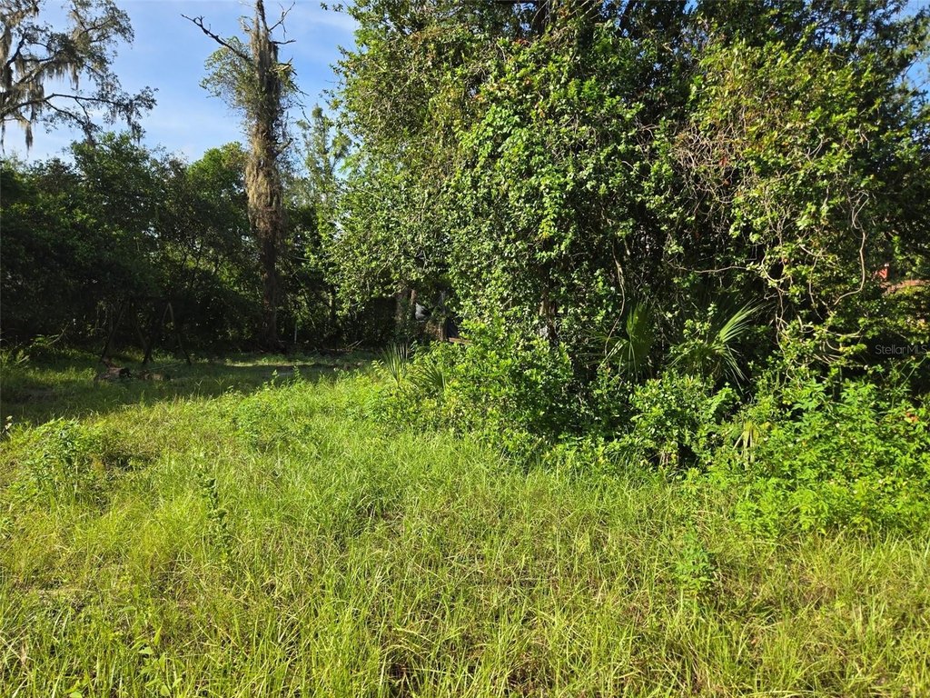 Picture 5