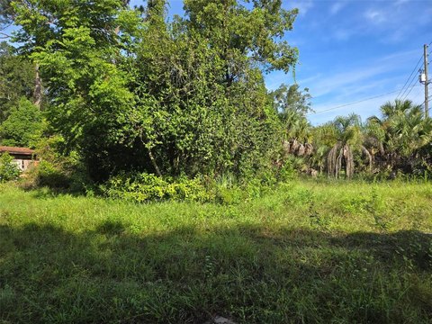 Land, APOPKA, FL