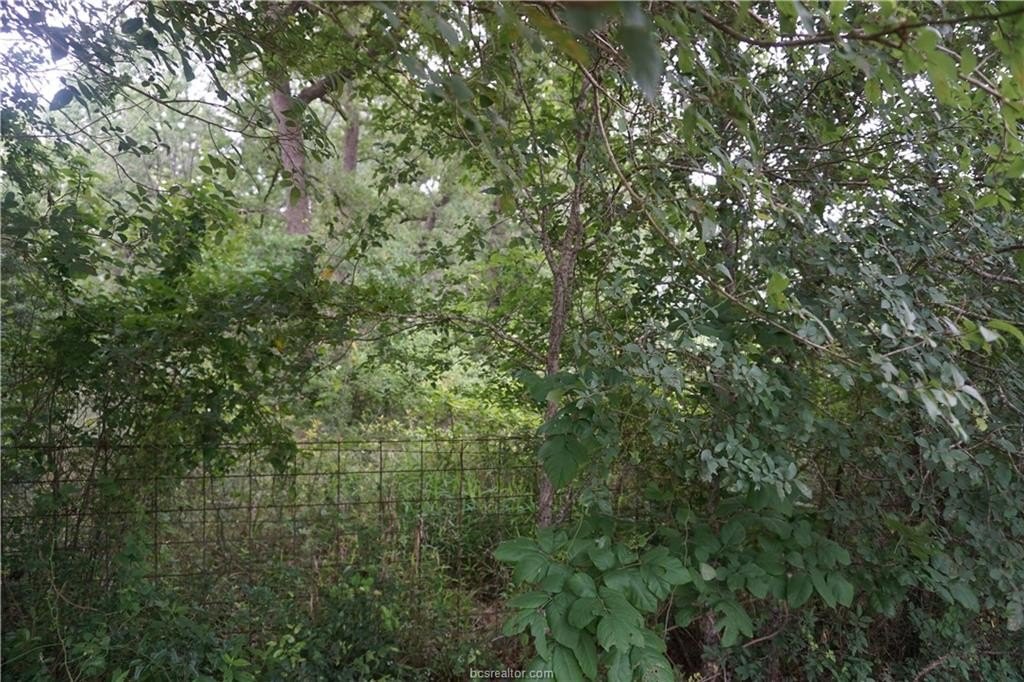 Residential Land in Caldwell, TX