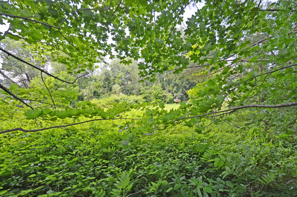 Picture 4