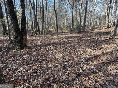 7.26 Acres in Cleveland, GA