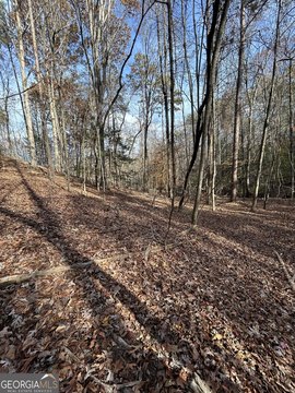 7.26 Acres in Cleveland, GA