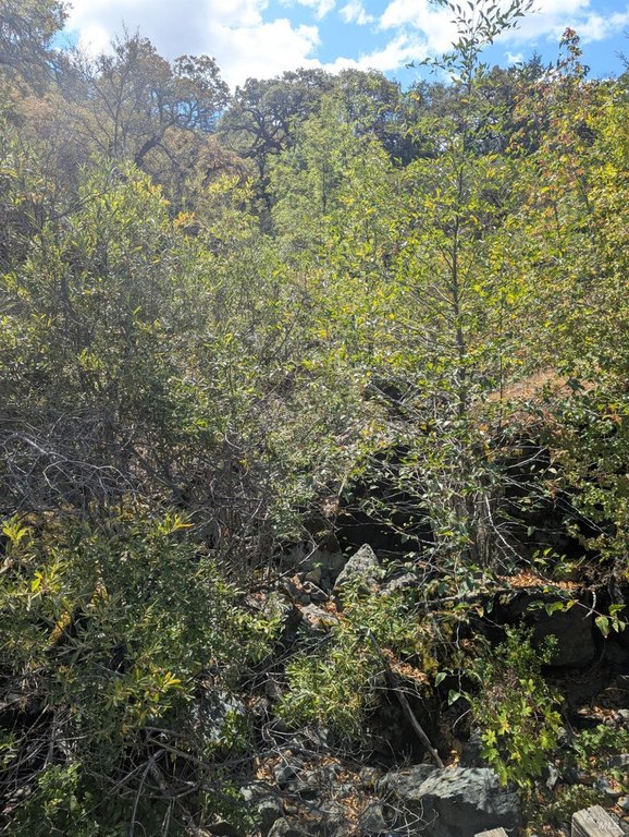 Picture 11