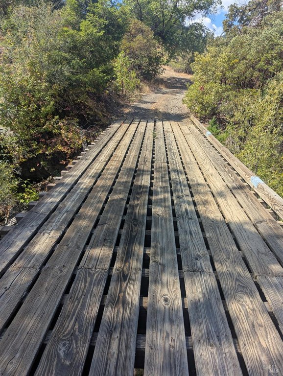 Picture 10