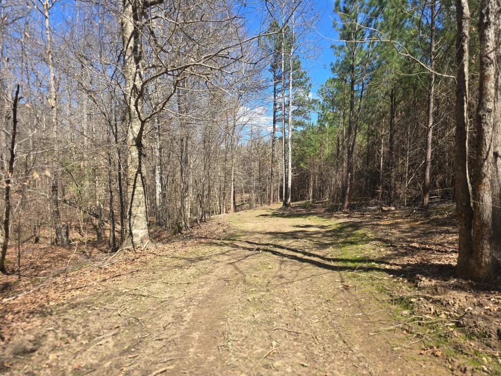 Picture 8