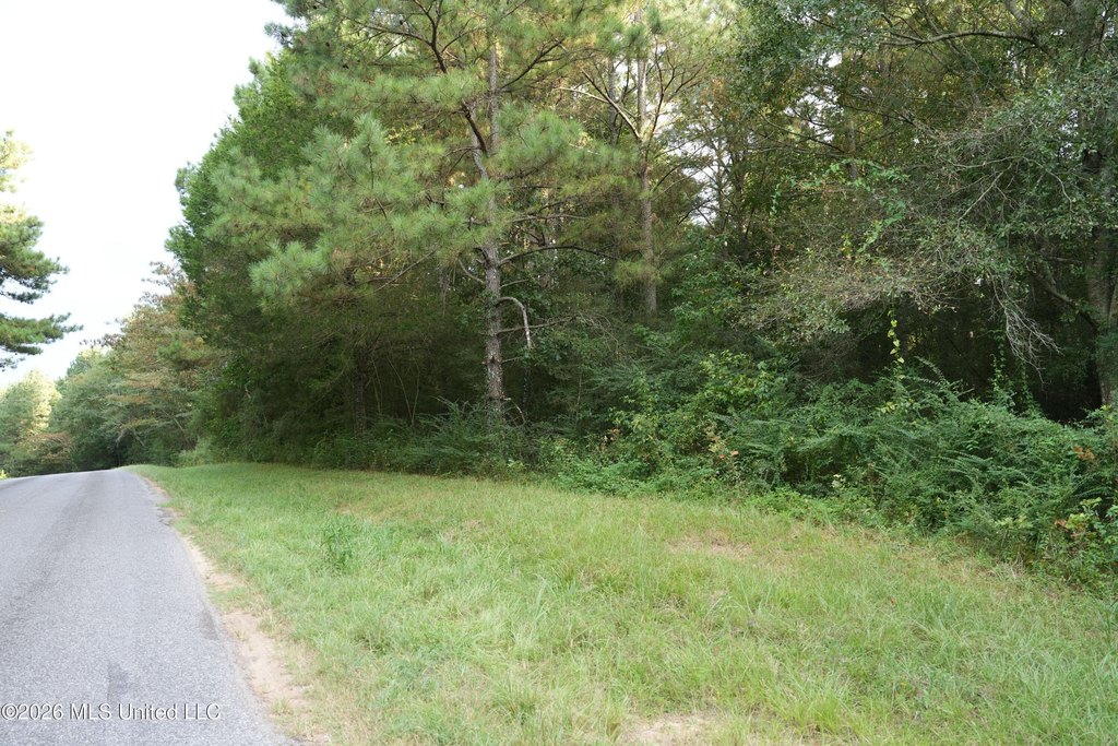 Picture 20