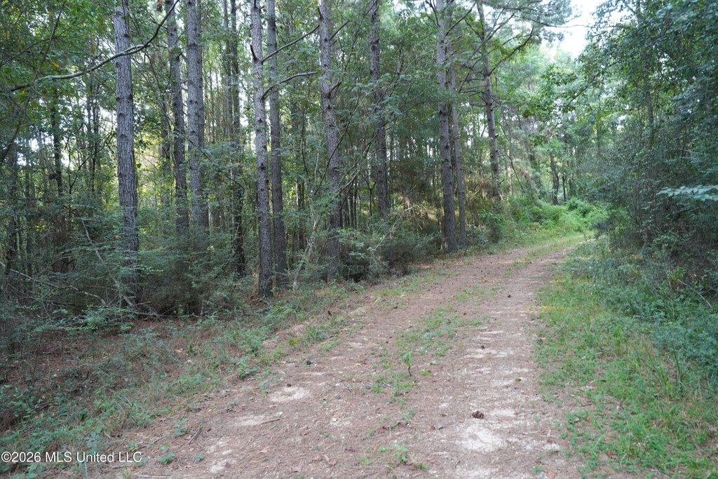 Picture 2