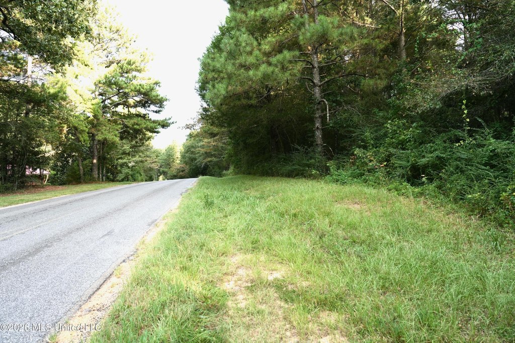 Picture 21