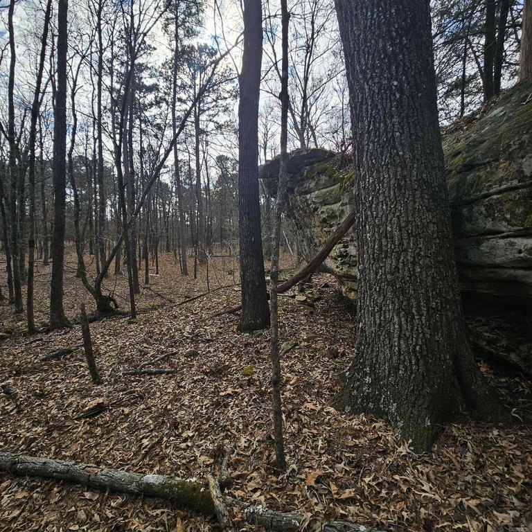 Picture 25