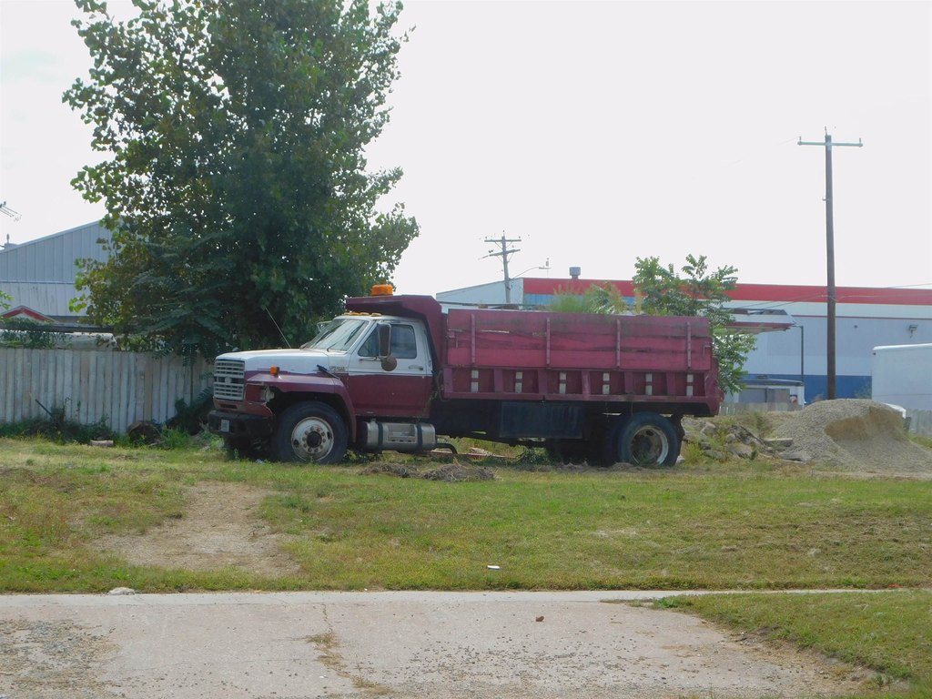 Picture 5