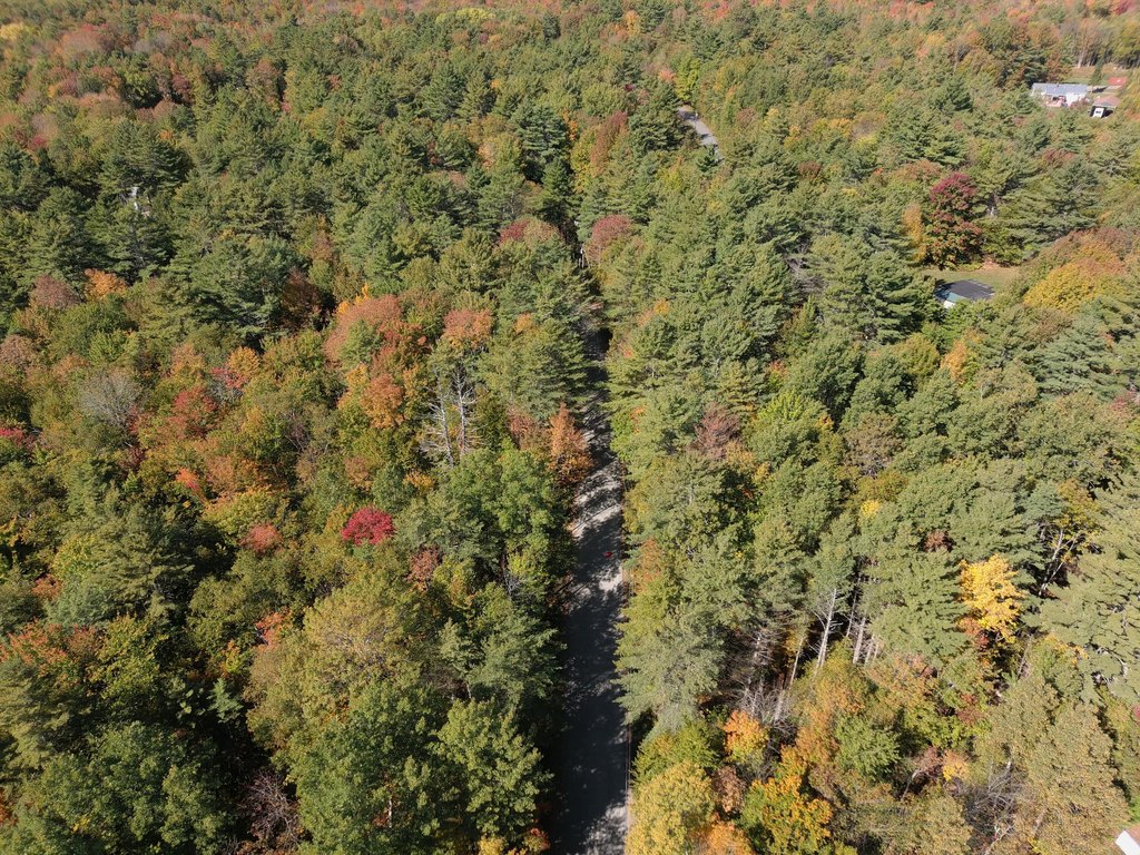 Picture 18