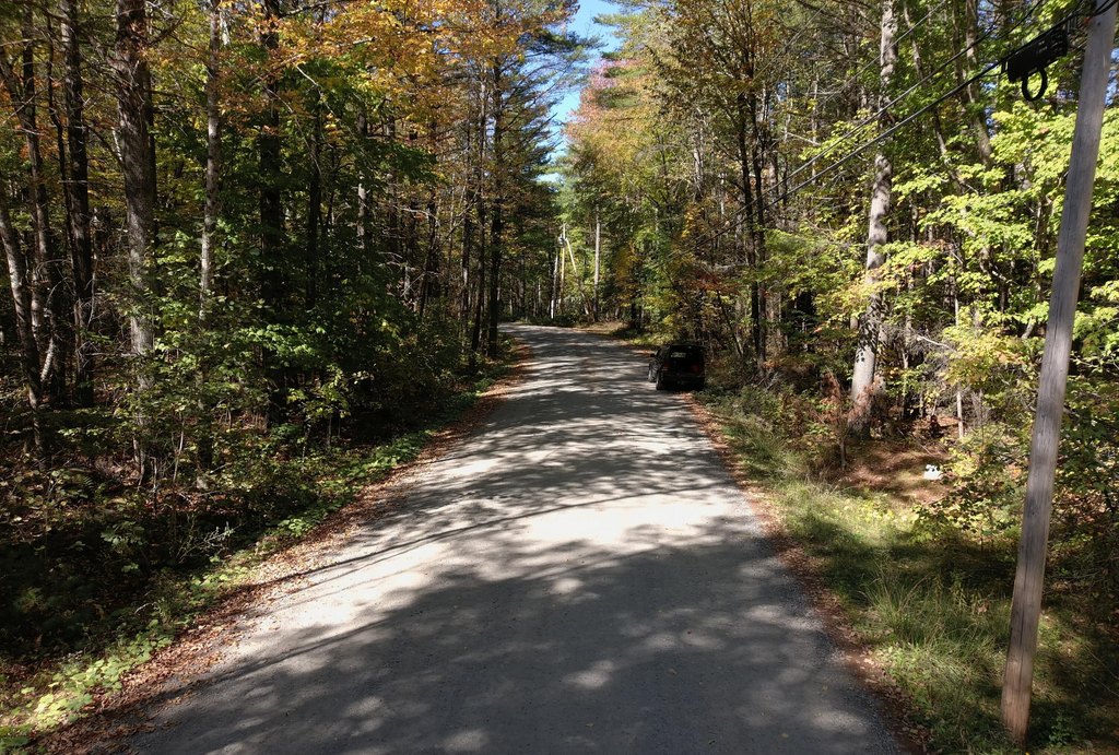 Picture 22