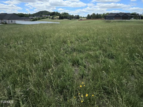 LAND - Jonesborough, TN