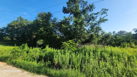 Waynesboro, GA Land For Sale