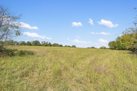 Secluded 15-Acre Land Parcel