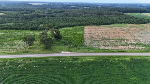 LAND - Headland, AL