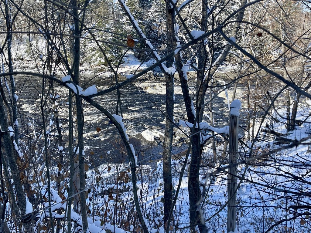 Picture 18