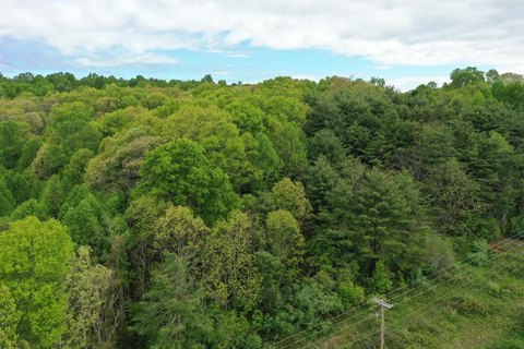 Unrestricted Wooded Lot in Laurel Fork