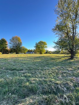 Lake Lorelei Cleared Lot