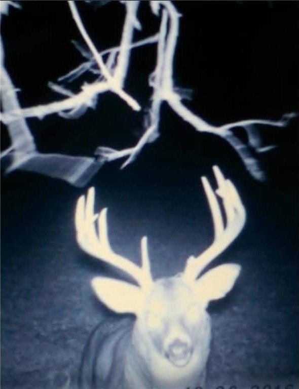 Picture 16