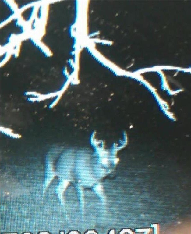 Picture 13