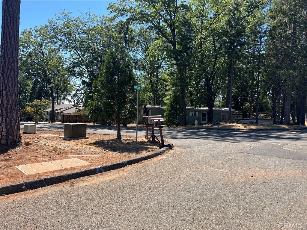 Picture 25