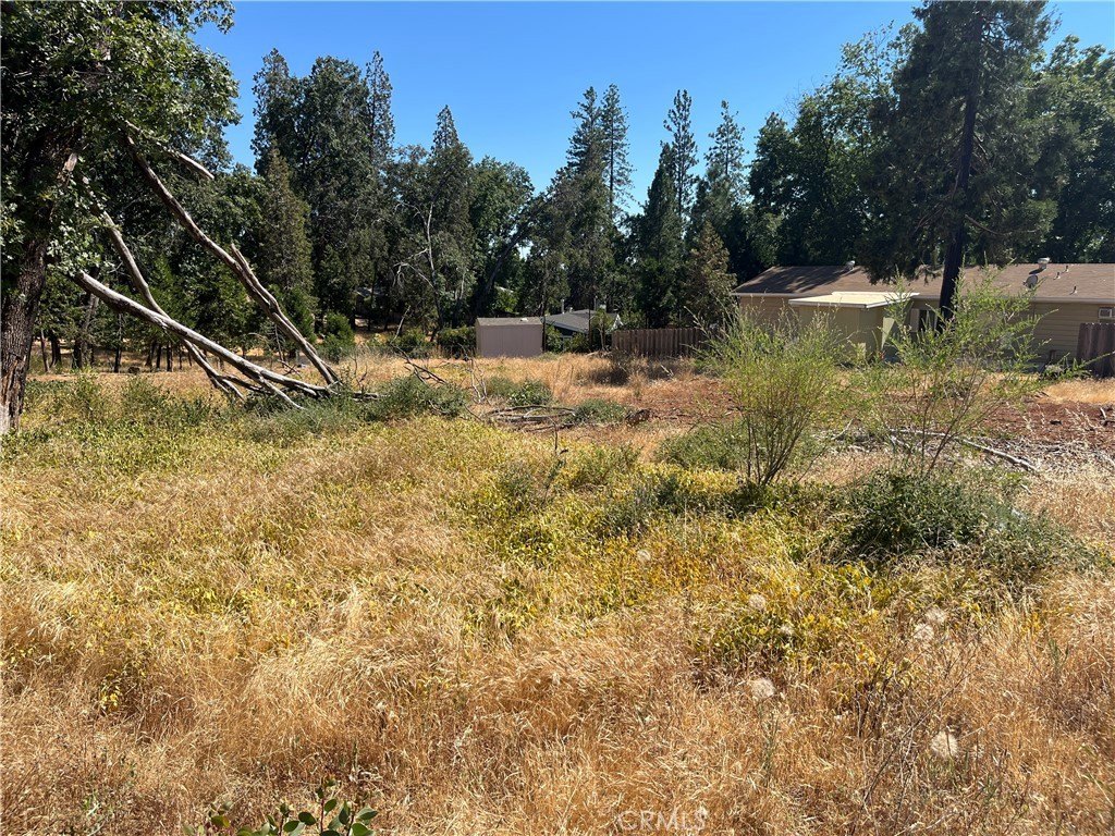 Picture 21