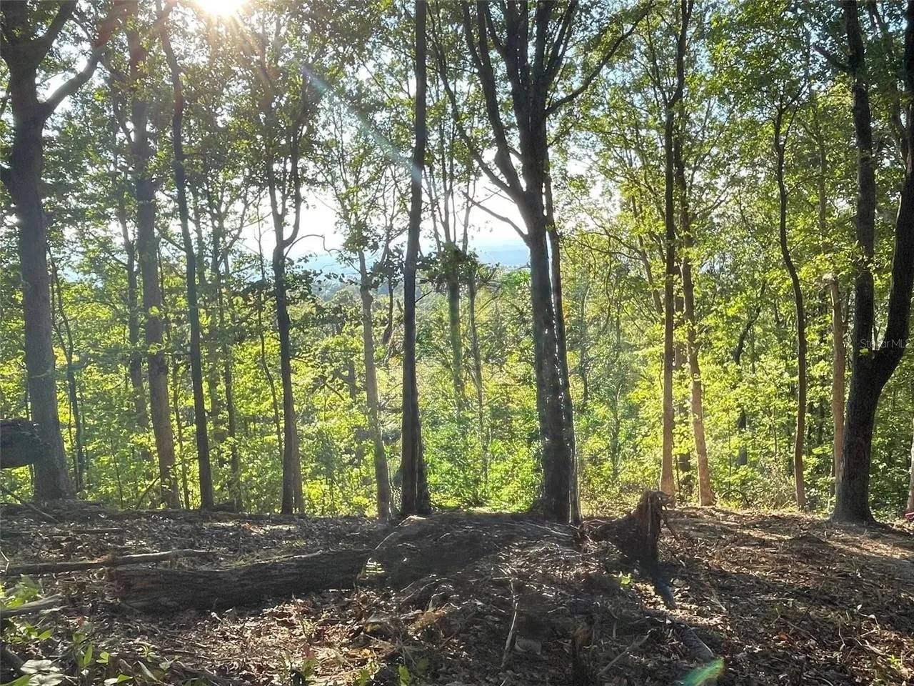 Mountain View Land in Murphy