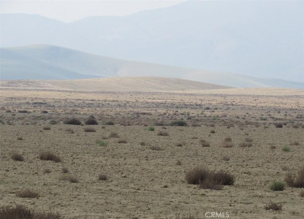 Lost Hills Agricultural Land Parcel