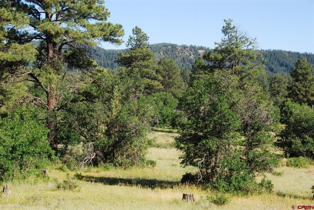 Land in Pagosa Springs, CO