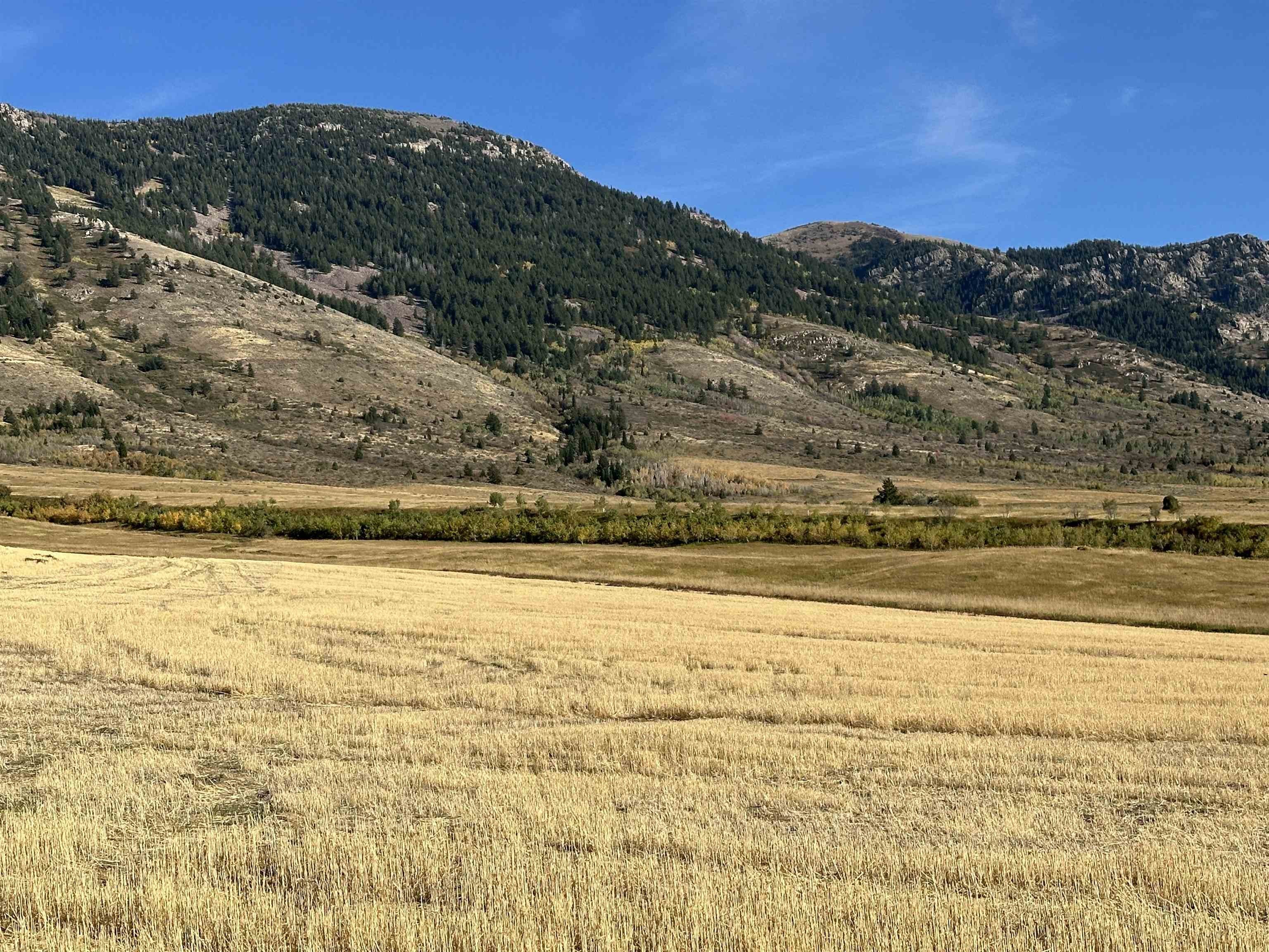 Inkom, ID View Lot