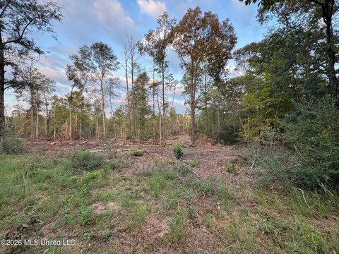 Land, Summit, MS