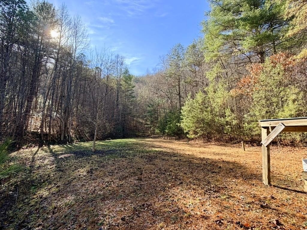 52 Acres Mountain Land Sylva