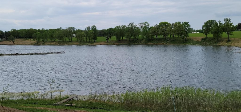 Picture 13