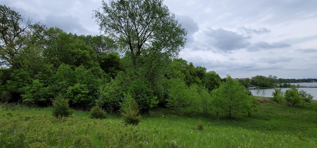 Picture 16