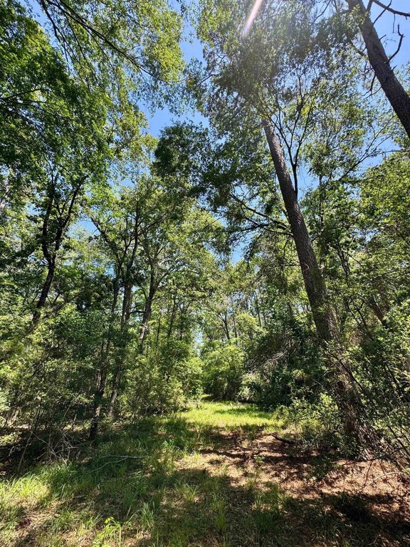 Picture 16