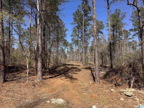 LAND/LOTS, NORTHPORT, AL