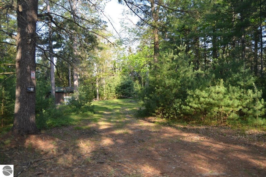 Picture 3