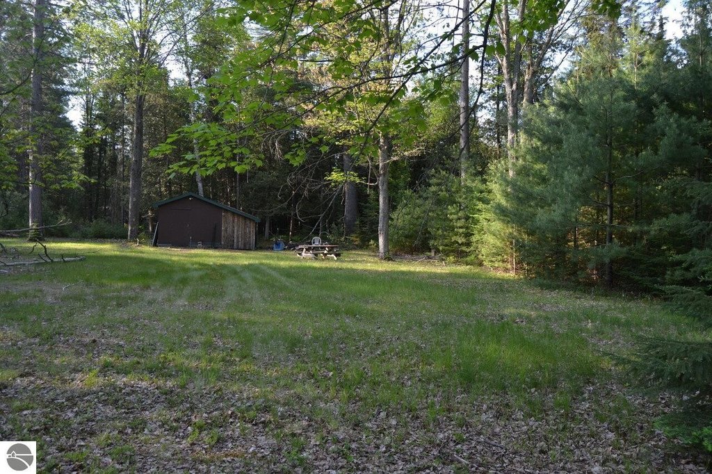 Picture 7